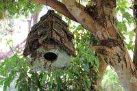 In Esmeraldas Kräutergarten