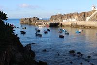 Hafen in Camara de Lobos