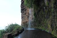 Natürliche Autowaschanlage