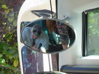 Madeira, Helen und Roberto 