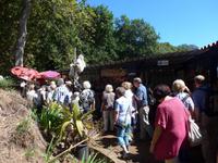 Madeira, Ribeiro Frio, Wanderung durch den Lorbeerwald zur Aussicht Balcoes