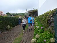 Madeira, Weg zum Weingut in Estreito da Camara de Lobos