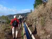 Madeira,  Levada-Wanderung