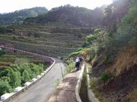 Madeira,  Levada-Wanderung