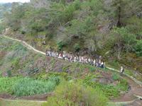 Madeira,  Levada-Wanderung