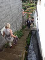 Madeira, am Ende der Levada-Wanderung