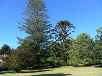 Madeira, Blandy´s Garden