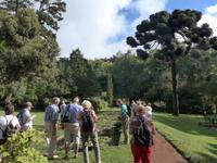 Madeira, Blandy´s Garden