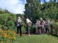 Madeira, Blandy´s Garden
