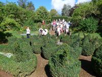 Madeira, Blandy´s Garden