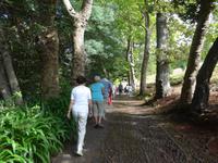 Madeira, Blandy´s Garden