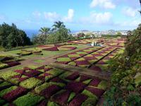 Madeira, Funchal, Botanischer Garten