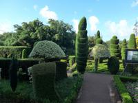 Madeira, Funchal, Botanischer Garten