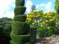 Madeira, Funchal, Botanischer Garten