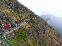Madeira, Weg zum Aussichtspunkt am Eira do Serrado