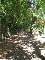 Wanderung Vereda dos Balcões