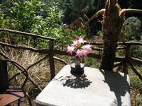 Wanderung Vereda dos Balcões