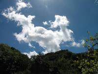 Wanderung Vereda dos Balcões