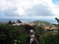 Besuch eines Weingutes in Câmara de Lobos