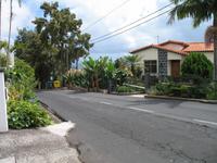 Besuch eines Weingutes in Câmara de Lobos
