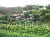 Levada-Wanderung von Marroços