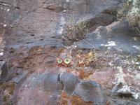 Levada-Wanderung von Marroços