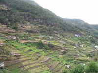 Levada-Wanderung von Marroços