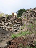 Levada-Wanderung von Marroços