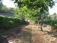 Besuch der Palheiro Gardens in Funchal
