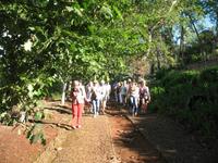Besuch der Palheiro Gardens in Funchal