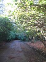 Besuch der Palheiro Gardens in Funchal