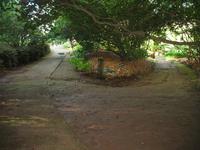 Besuch der Palheiro Gardens in Funchal