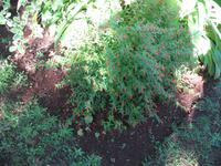 Besuch der Palheiro Gardens in Funchal