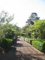 Besuch der Palheiro Gardens in Funchal