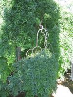 Besuch der Palheiro Gardens in Funchal