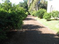 Besuch der Palheiro Gardens in Funchal