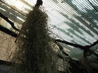 Besuch des Orchideengarten 