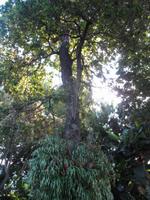 Besuch des Botanischen Garten 