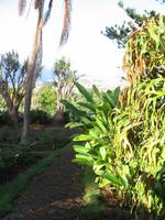 Besuch des Botanischen Garten 