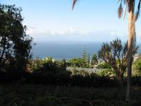 Besuch des Botanischen Garten 