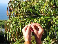 Besuch des Botanischen Garten 