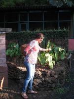 Besuch des Botanischen Garten 