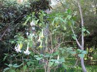 Besuch des Botanischen Garten 