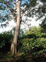 Besuch des Botanischen Garten 