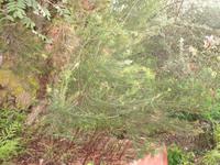 Besuch des Botanischen Garten 