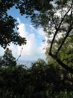 Besuch des Botanischen Garten 