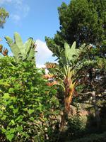 Besuch des Botanischen Garten 