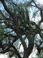 Besuch des Botanischen Garten 