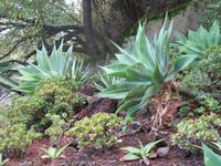 Besuch des Botanischen Garten 