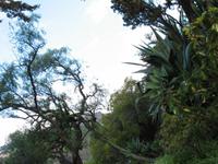 Besuch des Botanischen Garten 